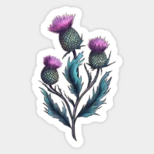 Magical herb. Thistle Sticker